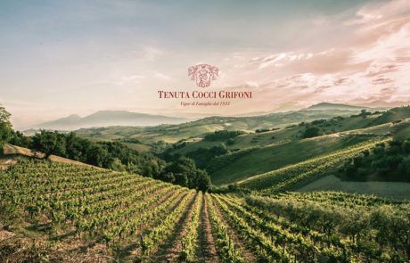 tenuta-cocci-grifoni